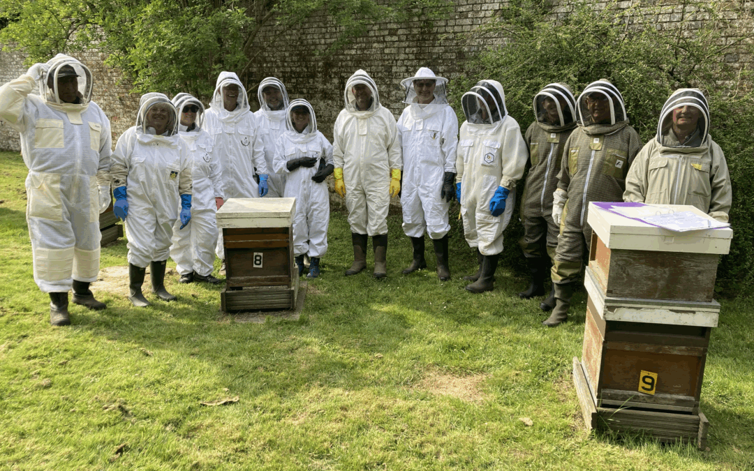 Beekeeping Course 2025